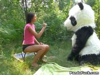 Dirty film in the woods with a huge toy panda